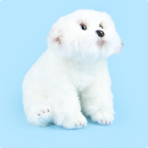 Barboncino maltese peluche - barboncino,