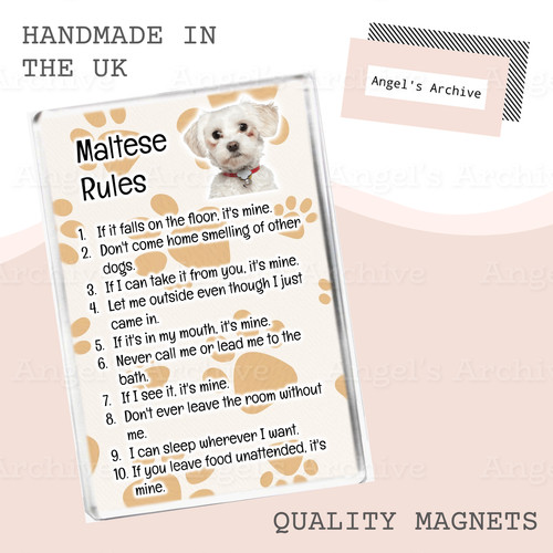 Maltese rules funny dog - ✳,