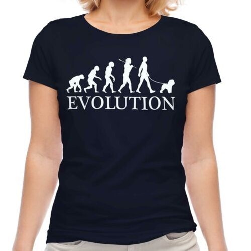 Bichon frise evolution uomo - bichon,