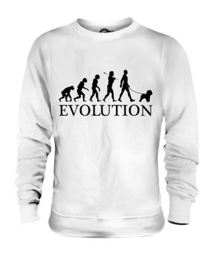 Bichon frise evolution uomo - evolution,