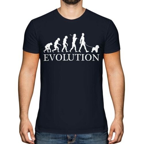 Bichon frise evolution - bichon, of