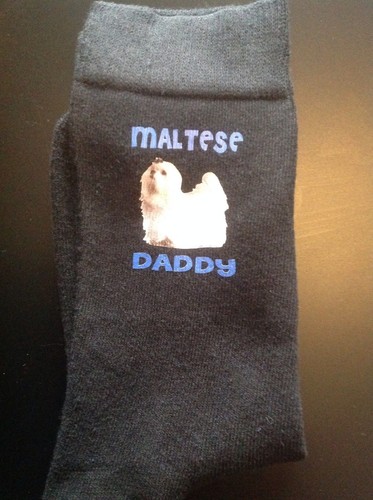Maltese daddy printed socks - maltese,