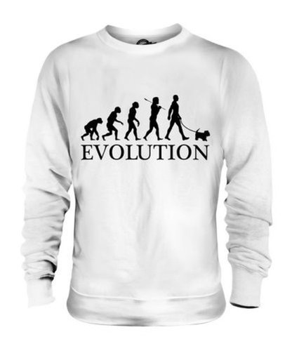 Maltese evolution uomo - evolution, of