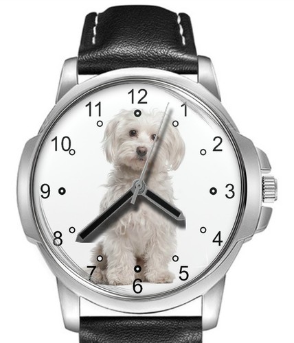 Orologio polso regalo cani - polso,