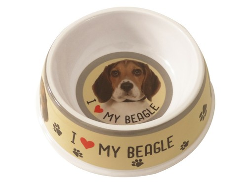 Ciotole per alimentazione - , cani