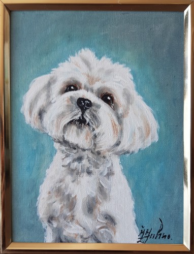 Dipinto olio cane - ad, maltese
