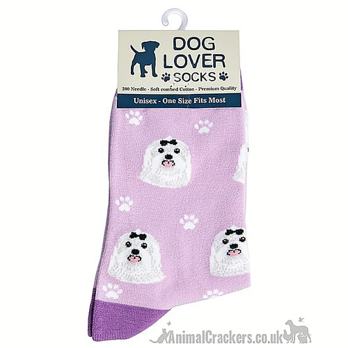 Calze cane maltese donna