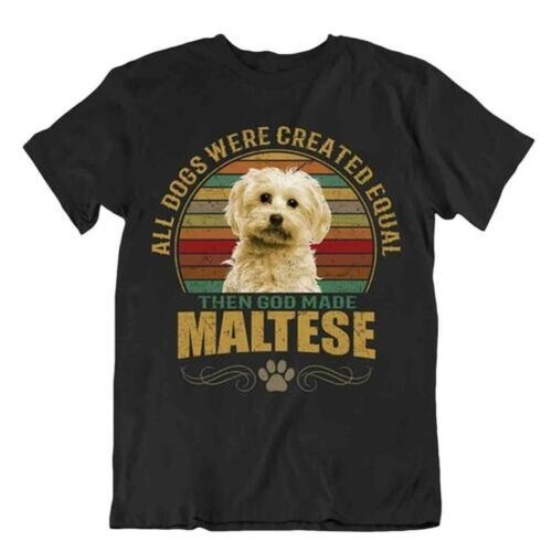 Cane maltese shirt - maltese, carino