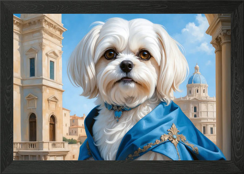 Ritratto cane maltese - , regale